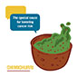 Image - Chimichurri: The Special Sauce for Lowering Cancer Risk