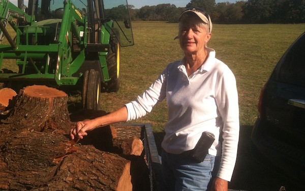 Carolyn Pyle