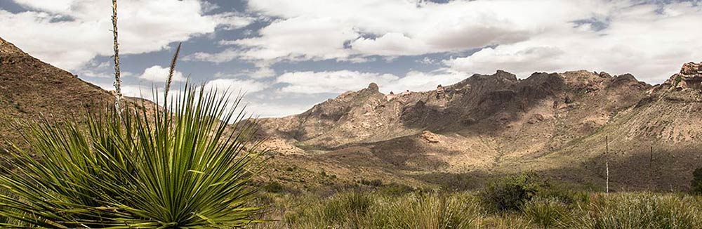 Banner West Texas - 02