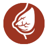 Texas Breast Specialists